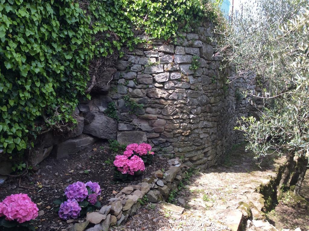 Casa Vacanze Ada Fiesole Ngoại thất bức ảnh